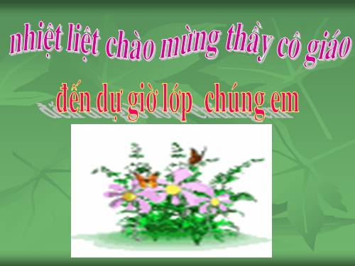 Tuần 11. Chuyện một khu vườn nhỏ