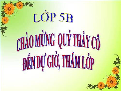 Tuần 9. Đất Cà Mau