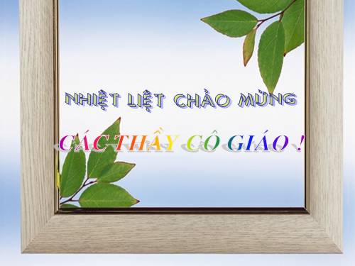 Tuần 12. Mùa thảo quả