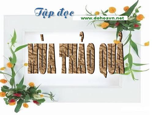 Tuần 12. Mùa thảo quả