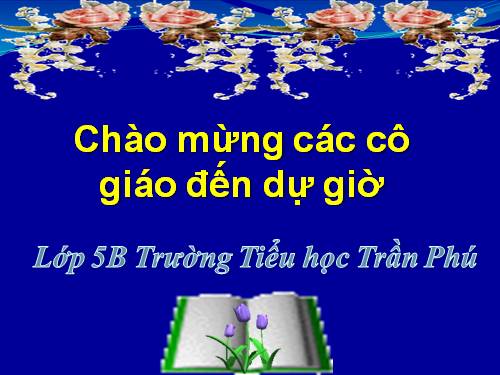 Tuần 12. Mùa thảo quả