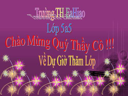 Tuần 9. Đất Cà Mau