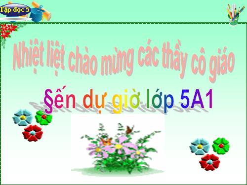 Tuần 9. Đất Cà Mau