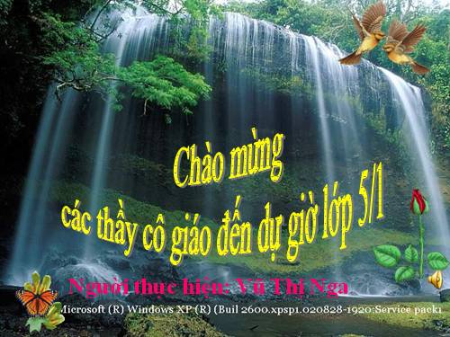 Tuần 8. Kì diệu rừng xanh
