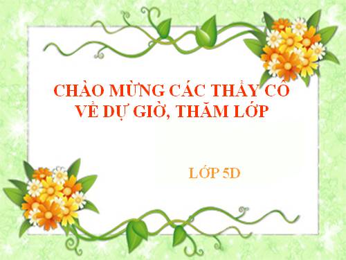 Tuần 8. Kì diệu rừng xanh