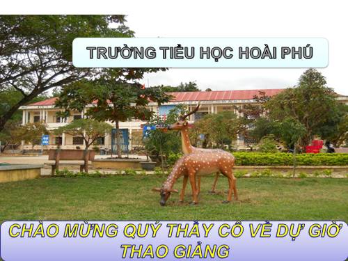 Tuần 22. Lập làng giữ biển