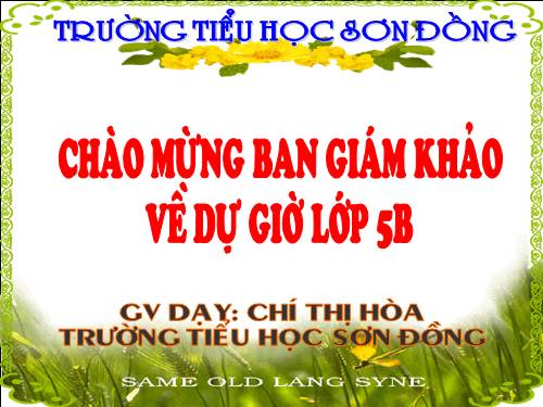 Tuần 31. Công việc đầu tiên