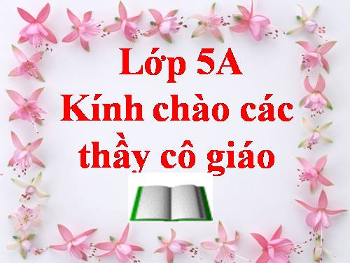 Tuần 8. Kì diệu rừng xanh