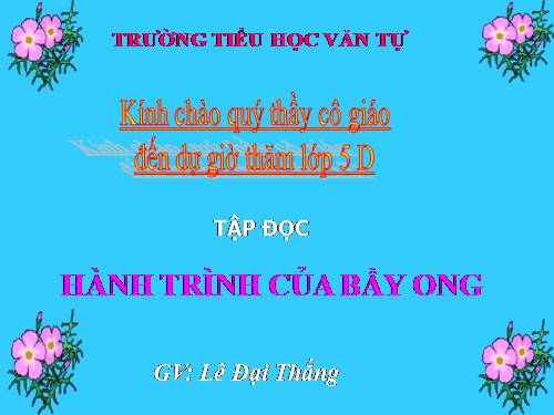 Tuần 12. Hành trình của bầy ong