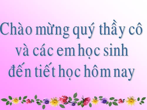 Tuần 5. Một chuyên gia máy xúc