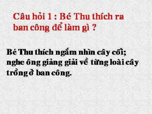 TẬP ĐỌC -LỚP 5