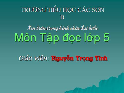 Tuần 31. Bầm ơi