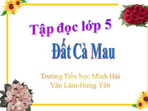 Tuần 9. Đất Cà Mau