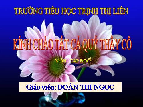 Tuần 23. Chú đi tuần