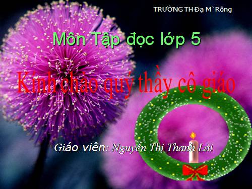 Tuần 31. Bầm ơi