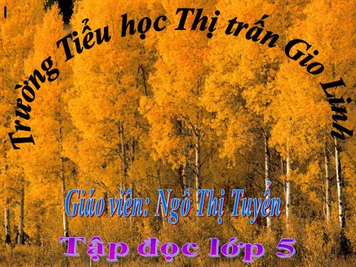 Tuần 8. Kì diệu rừng xanh