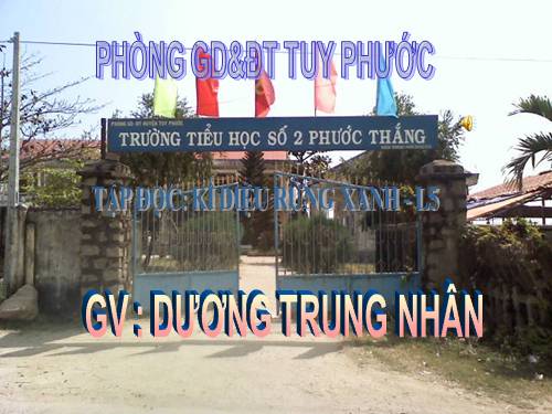 Tuần 8. Kì diệu rừng xanh