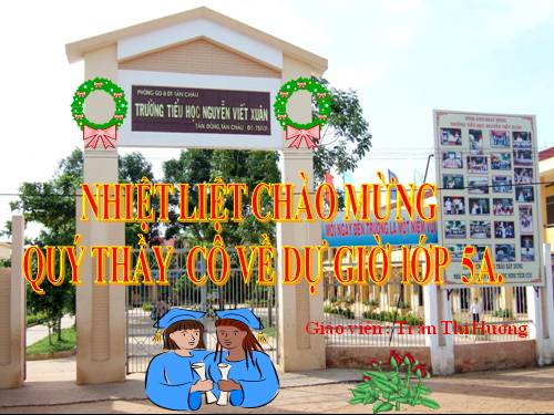 Tuần 31. Bầm ơi