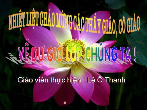 Tuần 8. Kì diệu rừng xanh