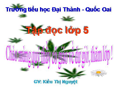 Tuần 13. Người gác rừng tí hon