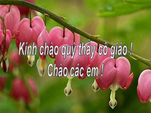 Bài 13. Đối thoại, độc thoại và độc thoại nội tâm trong văn bản tự sự