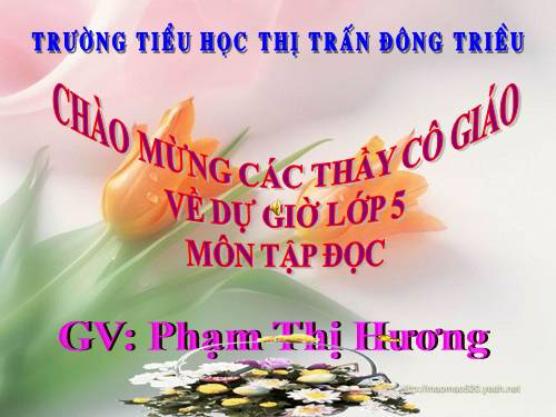 Tuần 26. Nghĩa thầy trò