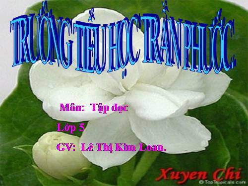 Tuần 19. Người công dân số Một