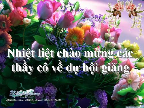 Tuần 11. Chuyện một khu vườn nhỏ