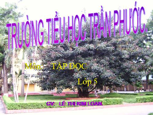Tuần 27. Tranh làng Hồ