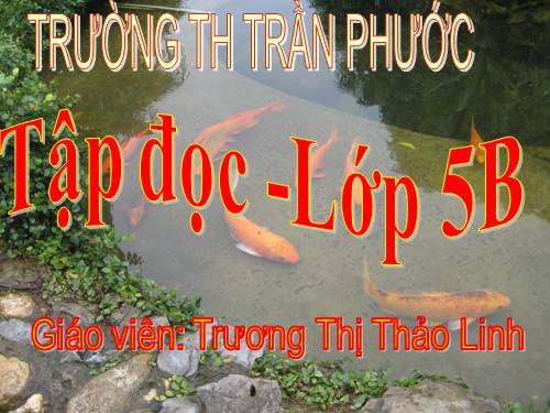 Tuần 12. Mùa thảo quả
