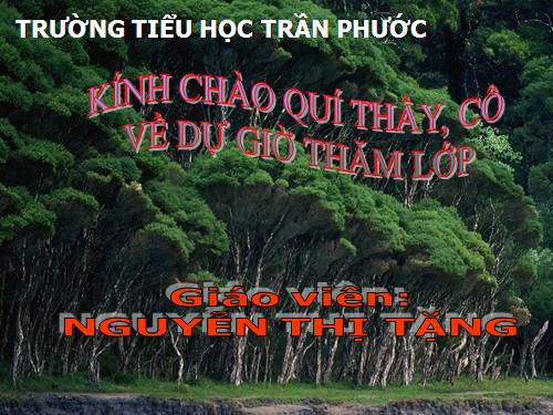Tuần 12. Mùa thảo quả