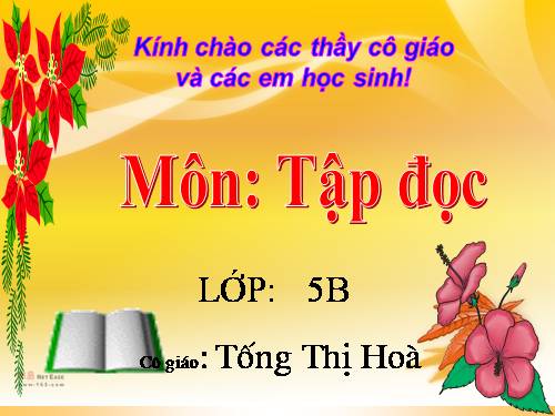 Tuần 8. Kì diệu rừng xanh