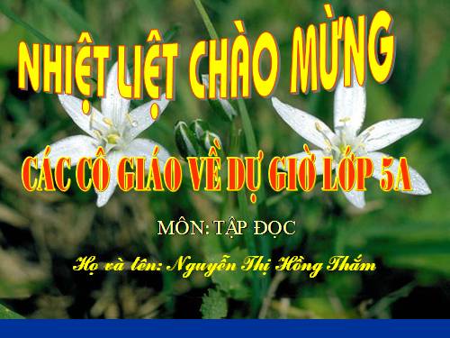 Tuần 22. Lập làng giữ biển