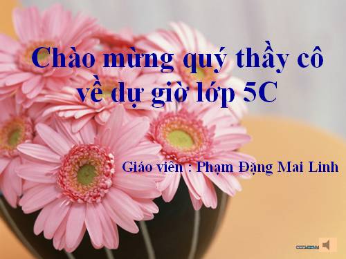 Tuần 8. Trước cổng trời