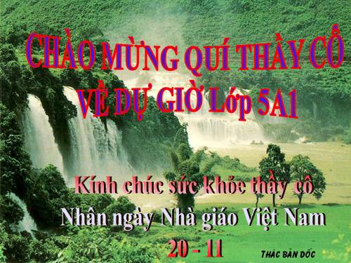 Tuần 13. Trồng rừng ngập mặn