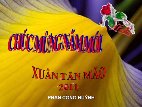 CHÚC MỪNG NĂM MỚI 2011