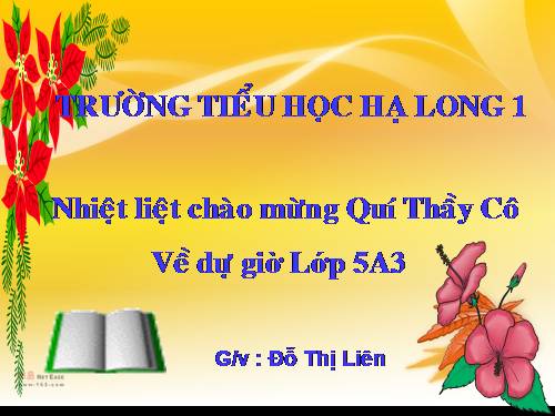 Tuần 8. Kì diệu rừng xanh