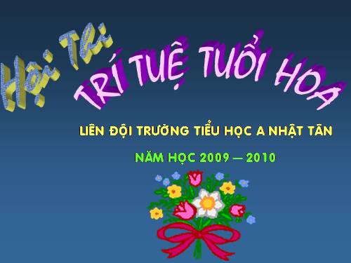 Hội thi trí tuệ tuổi hoa Nhật Tân