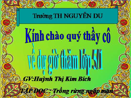 Tuần 13. Trồng rừng ngập mặn