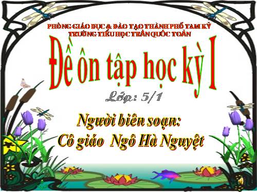 ÔN TẬP KIỂM TRA CUỐI HKI - LỚP 5 - NĂM HỌC 2010-2011