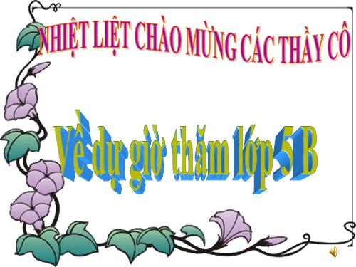 Tuần 13. Người gác rừng tí hon