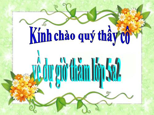 Tuần 13. Trồng rừng ngập mặn