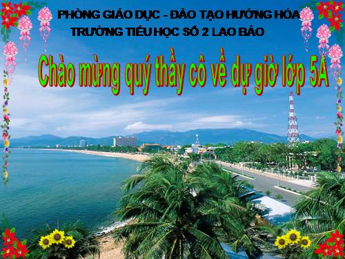 Tuần 12. Hành trình của bầy ong