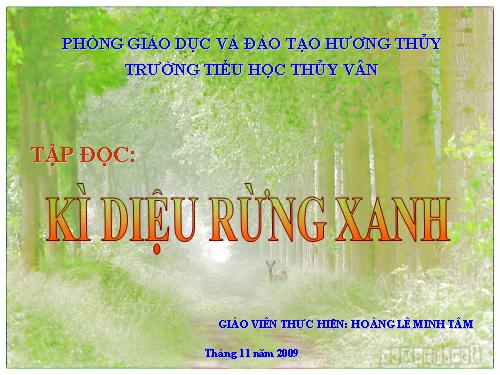 Tuần 8. Kì diệu rừng xanh