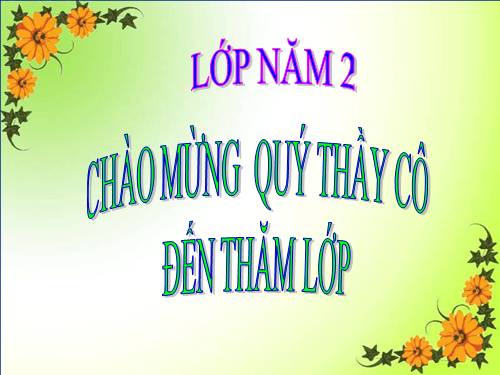 Tuần 16. Thầy cúng đi bệnh viện