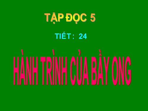 Tuần 12. Hành trình của bầy ong