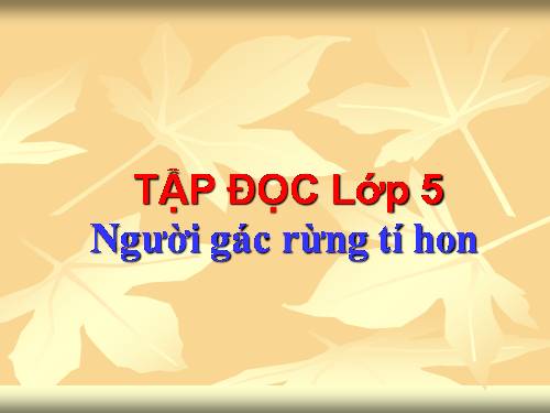 Tuần 13. Người gác rừng tí hon