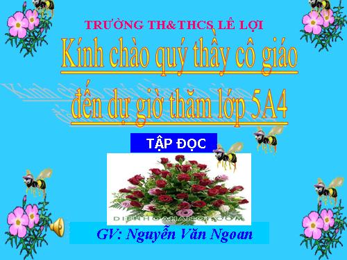 Tuần 12. Hành trình của bầy ong