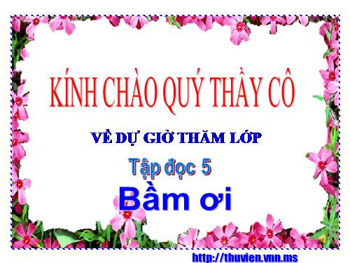 Tuần 31. Bầm ơi