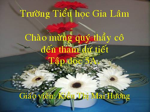 Tuần 12. Mùa thảo quả